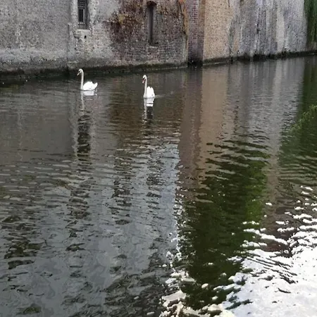 Refined Seaview * De Haan