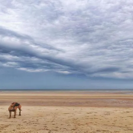 Refined Seaview Apartment
